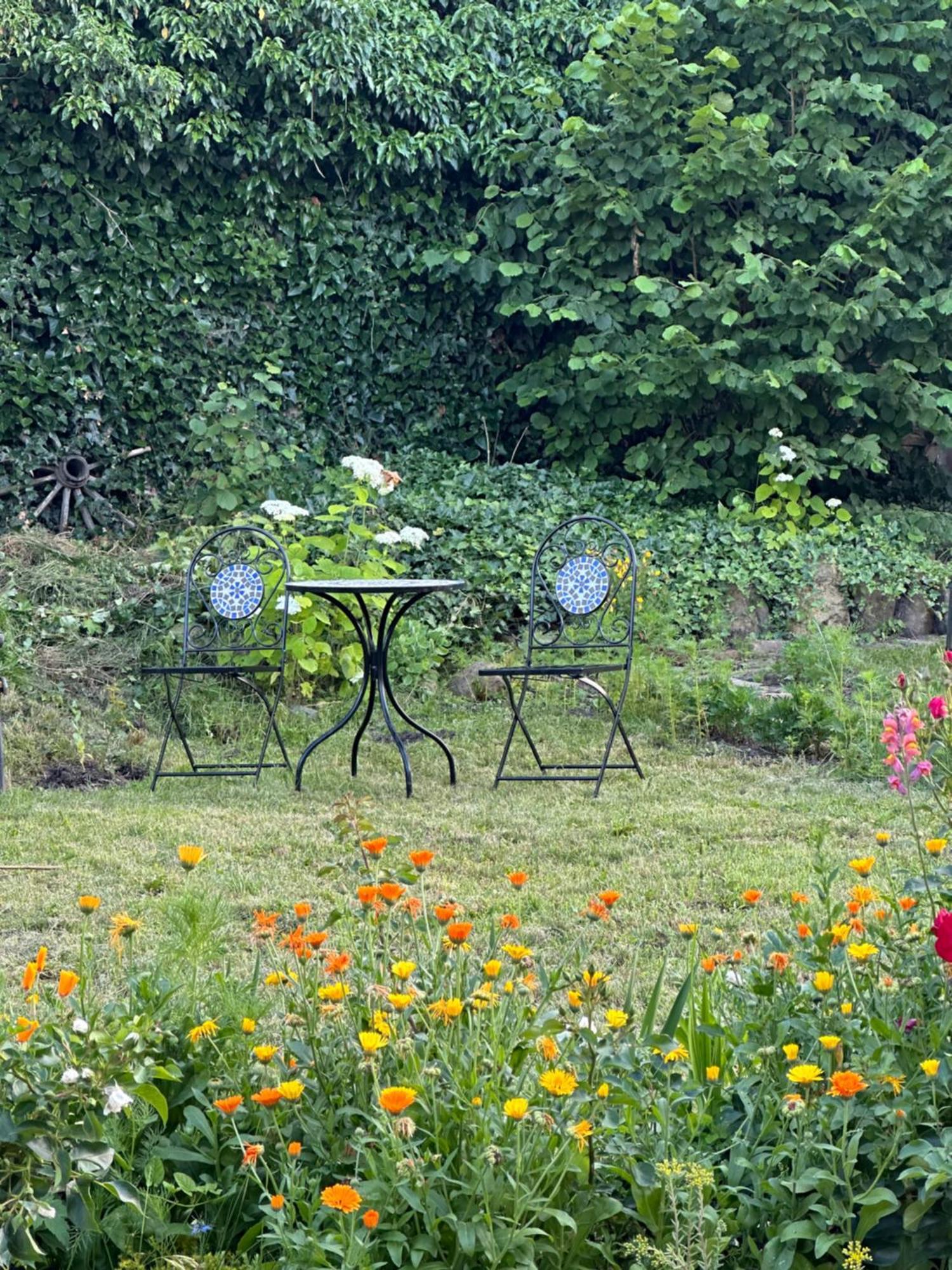 Saschiz 175 Guesthouse 외부 사진