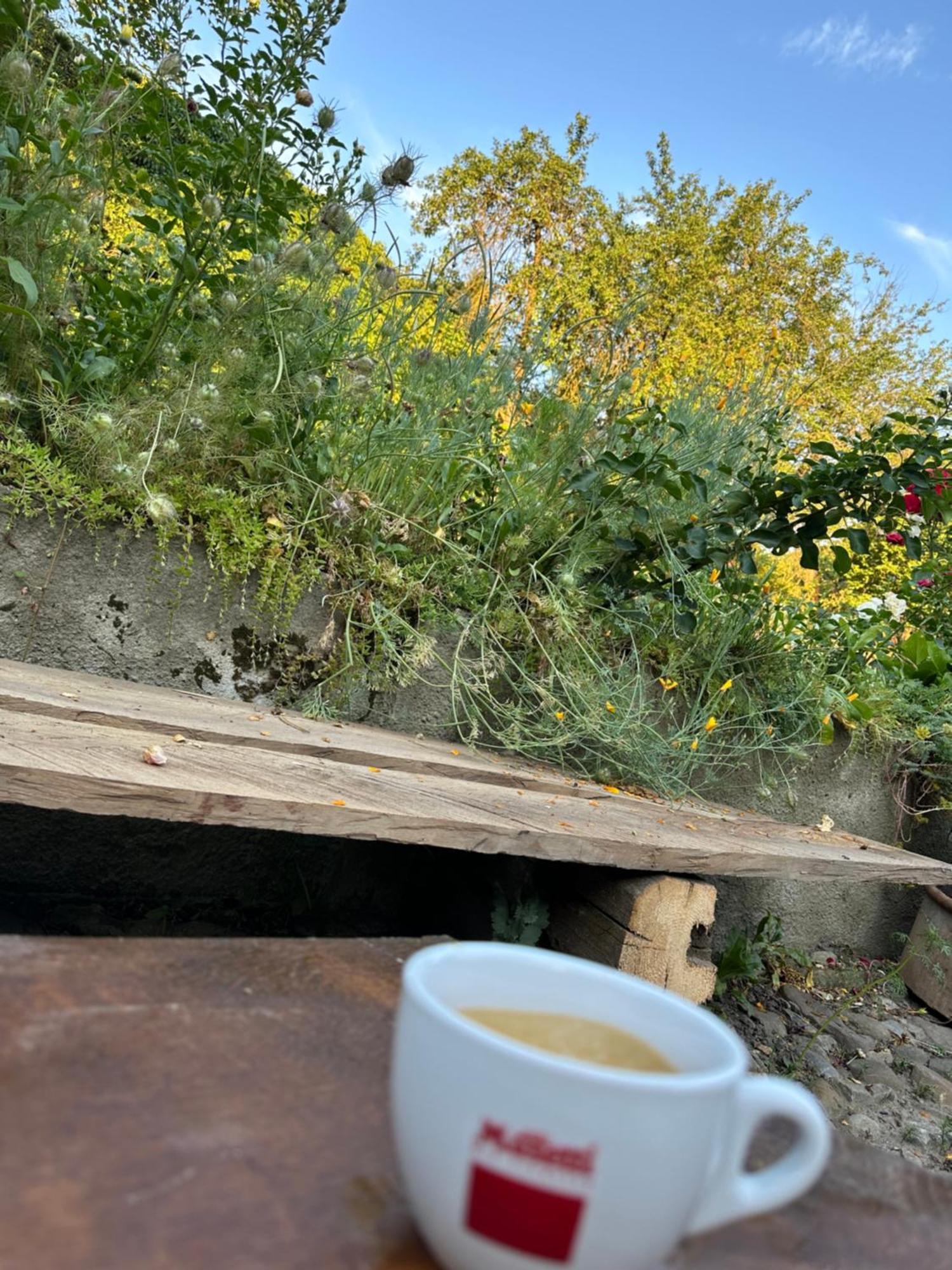 Saschiz 175 Guesthouse 외부 사진