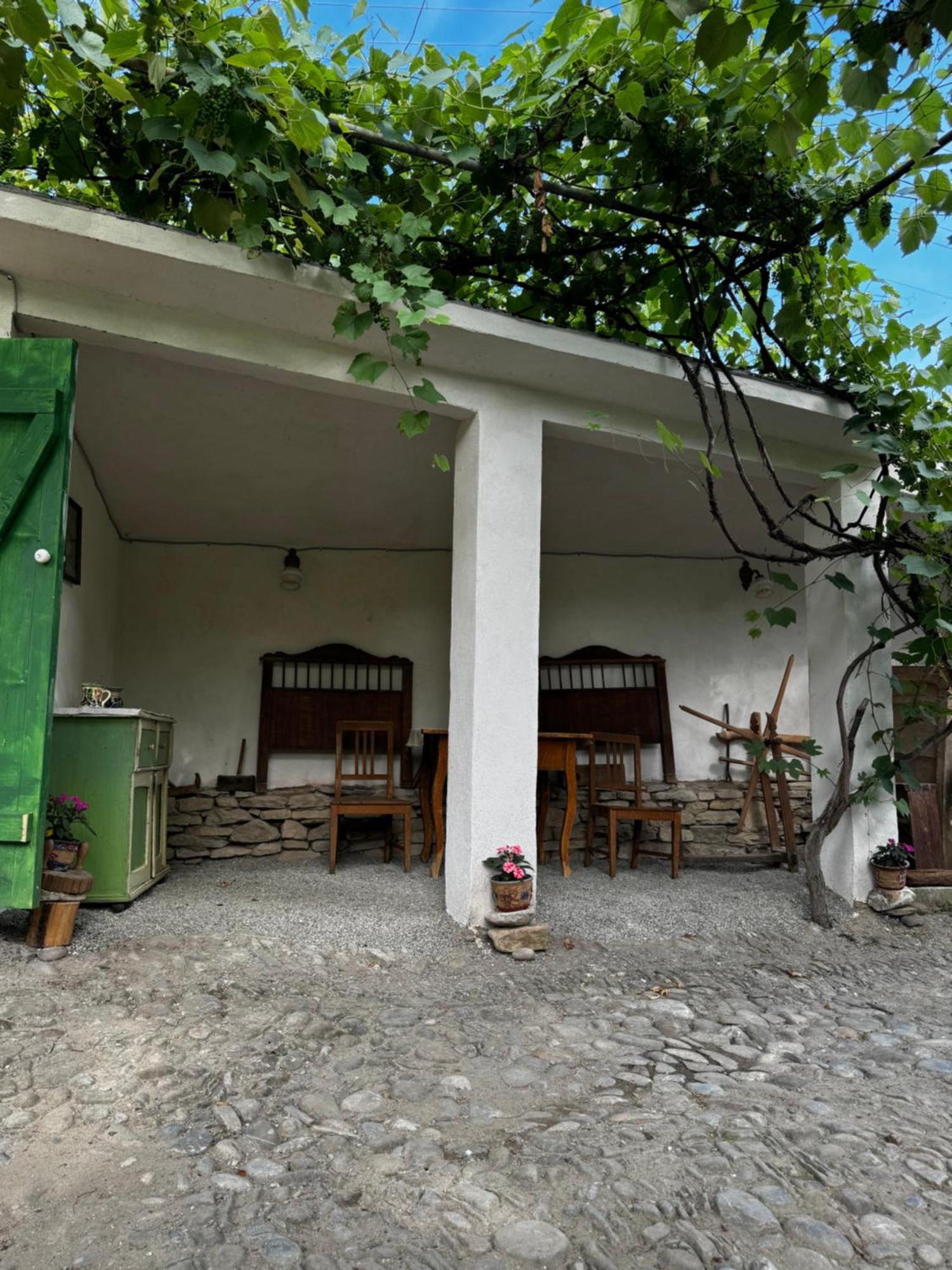 Saschiz 175 Guesthouse 외부 사진